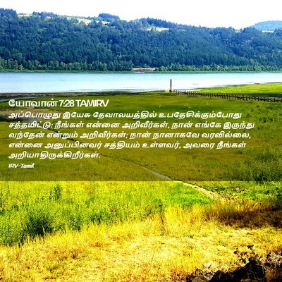 Picture 02 - யோவான் 7:28 TAMIRV - அப்பொழுது இயேசு - Bible Verse Picture