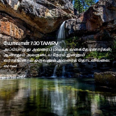 Picture 02 - யோவான் 7:30 TAMIRV - அப்பொழுது அவரைப் - Bible Verse Picture