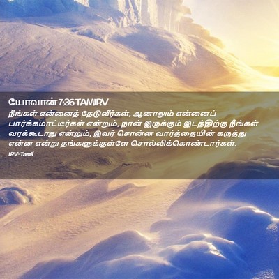 Picture 02 - யோவான் 7:36 TAMIRV - நீங்கள் என்னைத் - Bible Verse Picture