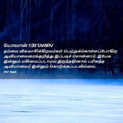 Picture 02 - யோவான் 7:39 TAMIRV - தம்மை - Bible Verse Picture