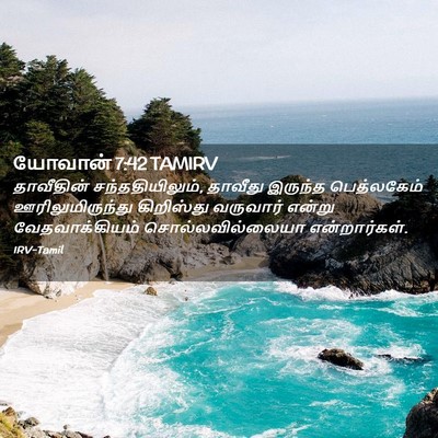 Picture 02 - யோவான் 7:42 TAMIRV - தாவீதின் - Bible Verse Picture