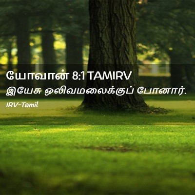 Picture 02 - யோவான் 8:1 TAMIRV - இயேசு - Bible Verse Picture