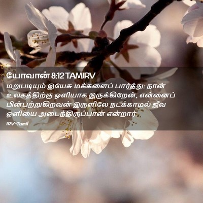 Picture 02 - யோவான் 8:12 TAMIRV - மறுபடியும் இயேசு - Bible Verse Picture