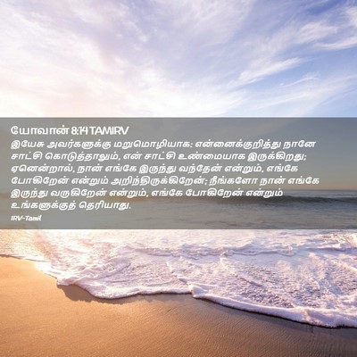 Picture 02 - யோவான் 8:14 TAMIRV - இயேசு அவர்களுக்கு - Bible Verse Picture