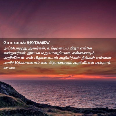 Picture 02 - யோவான் 8:19 TAMIRV - அப்பொழுது - Bible Verse Picture