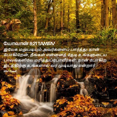 Picture 02 - யோவான் 8:21 TAMIRV - இயேசு மறுபடியும் - Bible Verse Picture