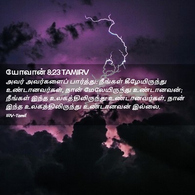 Picture 02 - யோவான் 8:23 TAMIRV - அவர் அவர்களைப் - Bible Verse Picture