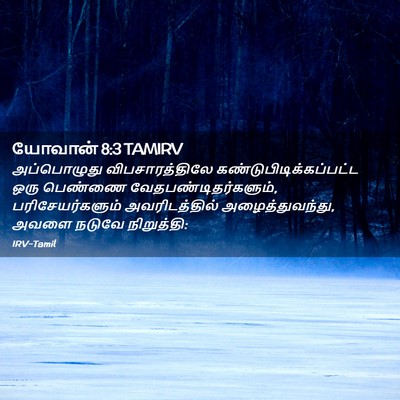 Picture 02 - யோவான் 8:3 TAMIRV - அப்பொழுது - Bible Verse Picture