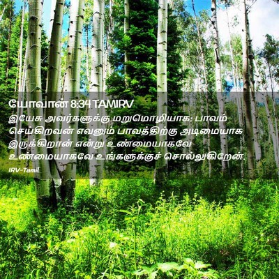 Picture 02 - யோவான் 8:34 TAMIRV - இயேசு அவர்களுக்கு - Bible Verse Picture