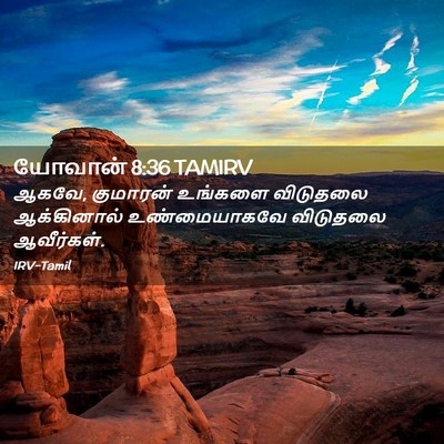 Picture 02 - யோவான் 8:36 TAMIRV - ஆகவே, குமாரன் - Bible Verse Picture