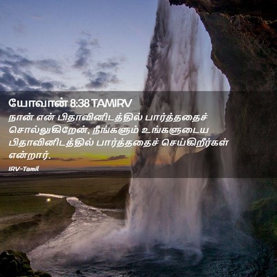 Picture 02 - யோவான் 8:38 TAMIRV - நான் என் - Bible Verse Picture