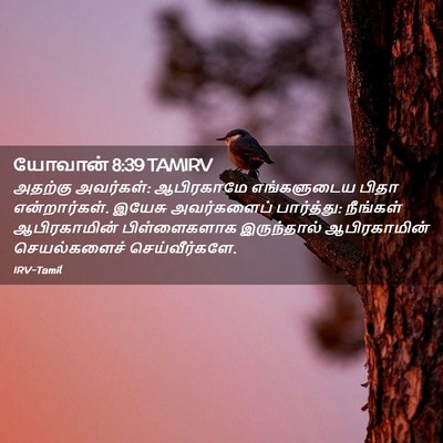 Picture 02 - யோவான் 8:39 TAMIRV - அதற்கு அவர்கள்: - Bible Verse Picture