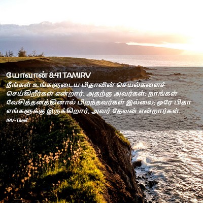 Picture 02 - யோவான் 8:41 TAMIRV - நீங்கள் உங்களுடைய - Bible Verse Picture
