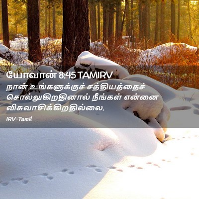 Picture 02 - யோவான் 8:45 TAMIRV - நான் உங்களுக்குச் - Bible Verse Picture