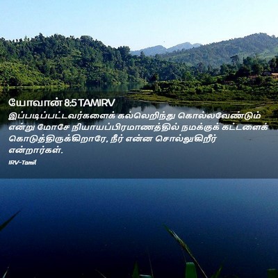 Picture 02 - யோவான் 8:5 TAMIRV -  - Bible Verse Picture