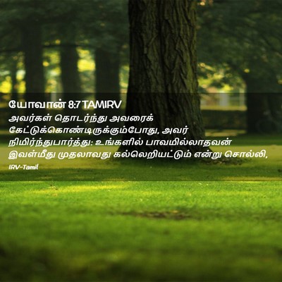 Picture 02 - யோவான் 8:7 TAMIRV - அவர்கள் தொடர்ந்து - Bible Verse Picture