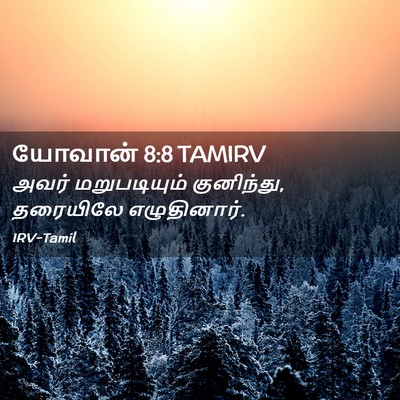 Picture 02 - யோவான் 8:8 TAMIRV - அவர் மறுபடியும் - Bible Verse Picture