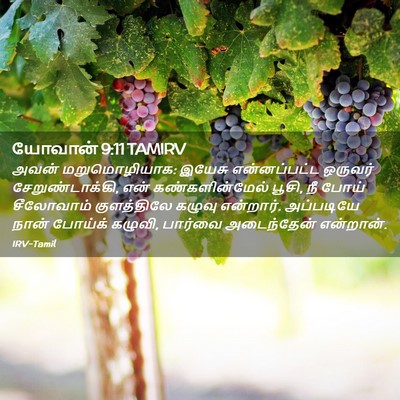 Picture 02 - யோவான் 9:11 TAMIRV - அவன் மறுமொழியாக: - Bible Verse Picture