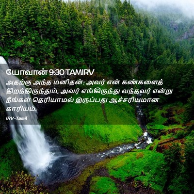 Picture 02 - யோவான் 9:30 TAMIRV - அதற்கு அந்த - Bible Verse Picture