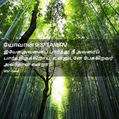 Picture 02 - யோவான் 9:37 TAMIRV - இயேசு அவனைப் - Bible Verse Picture