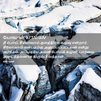 Picture 02 - யோவான் 9:7 TAMIRV - நீ போய், சீலோவாம் - Bible Verse Picture
