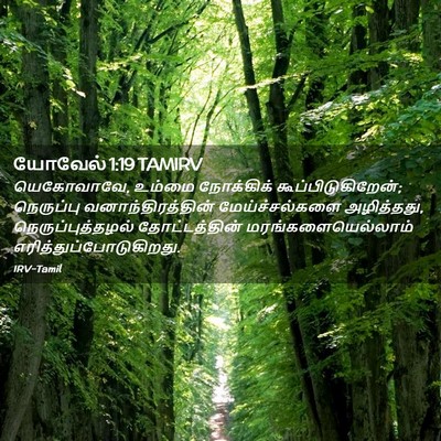Picture 02 - யோவேல் 1:19 TAMIRV - யெகோவாவே, உம்மை - Bible Verse Picture