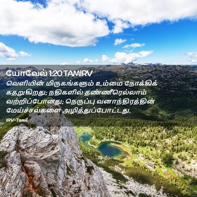 Picture 02 - யோவேல் 1:20 TAMIRV - வெளியின் - Bible Verse Picture