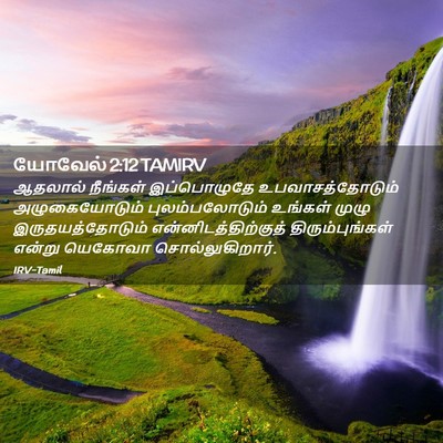 Picture 02 - யோவேல் 2:12 TAMIRV - ஆதலால் நீங்கள் - Bible Verse Picture