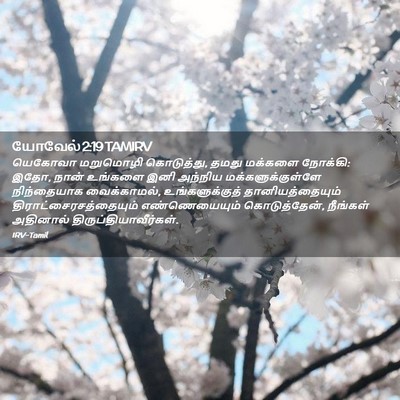 Picture 02 - யோவேல் 2:19 TAMIRV - யெகோவா மறுமொழி - Bible Verse Picture