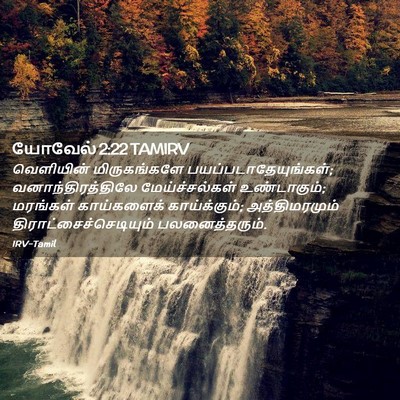 Picture 02 - யோவேல் 2:22 TAMIRV - வெளியின் - Bible Verse Picture