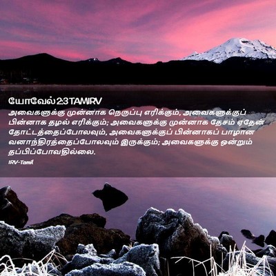 Picture 02 - யோவேல் 2:3 TAMIRV - அவைகளுக்கு - Bible Verse Picture
