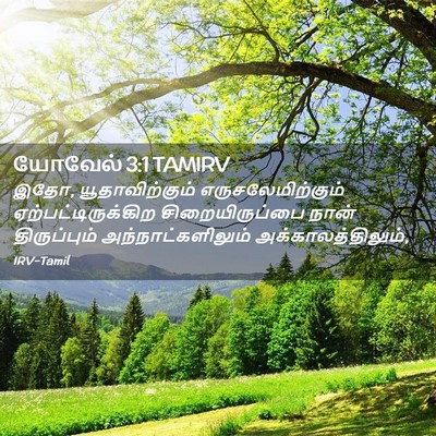 Picture 02 - யோவேல் 3:1 TAMIRV - இதோ, யூதாவிற்கும் - Bible Verse Picture