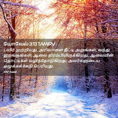 Picture 02 - யோவேல் 3:13 TAMIRV - பயிர் முற்றியது, - Bible Verse Picture