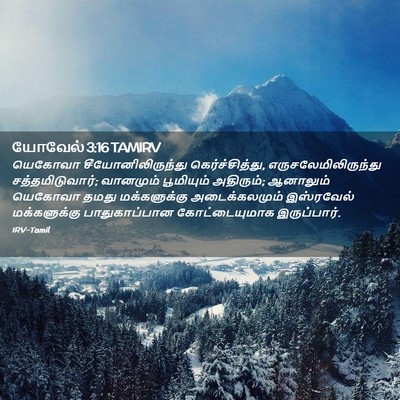 Picture 02 - யோவேல் 3:16 TAMIRV - யெகோவா - Bible Verse Picture