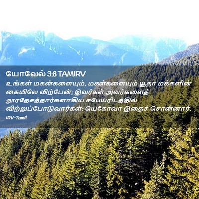 Picture 02 - யோவேல் 3:8 TAMIRV - உங்கள் - Bible Verse Picture