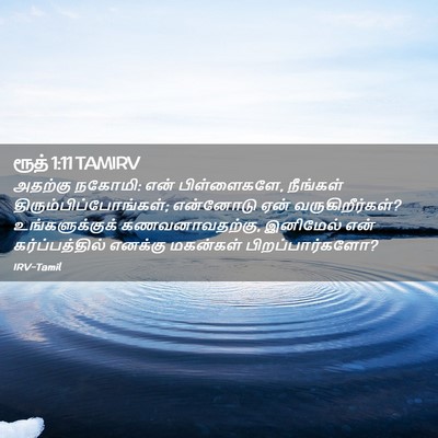 Picture 02 - ரூத் 1:11 TAMIRV - அதற்கு நகோமி: என் - Bible Verse Picture