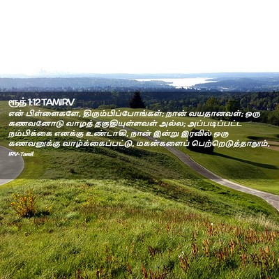 Picture 02 - ரூத் 1:12 TAMIRV - என் பிள்ளைகளே, - Bible Verse Picture