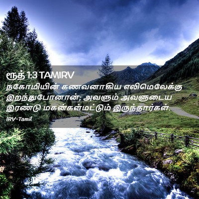 Picture 02 - ரூத் 1:3 TAMIRV - நகோமியின் - Bible Verse Picture