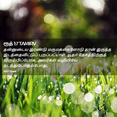 Picture 02 - ரூத் 1:7 TAMIRV - தன்னுடைய இரண்டு - Bible Verse Picture
