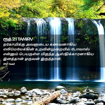 Picture 02 - ரூத் 2:1 TAMIRV - நகோமிக்கு அவளுடைய - Bible Verse Picture