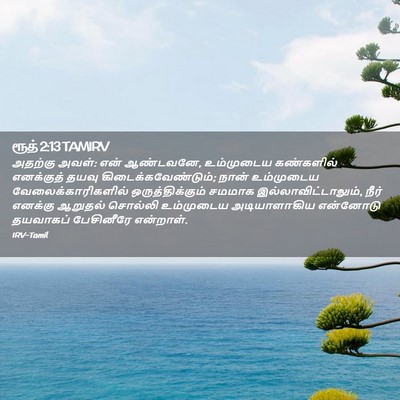 Picture 02 - ரூத் 2:13 TAMIRV - அதற்கு அவள்: என் - Bible Verse Picture