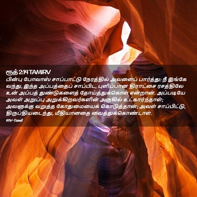Picture 02 - ரூத் 2:14 TAMIRV - பின்பு போவாஸ் - Bible Verse Picture