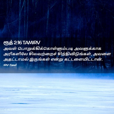 Picture 02 - ரூத் 2:16 TAMIRV - அவள் - Bible Verse Picture