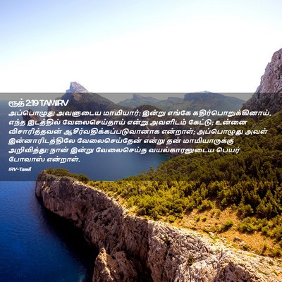 Picture 02 - ரூத் 2:19 TAMIRV - அப்பொழுது அவளுடைய - Bible Verse Picture