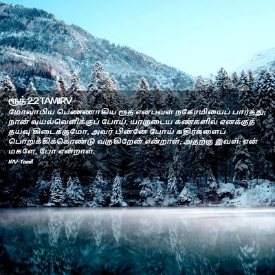 Picture 02 - ரூத் 2:2 TAMIRV - மோவாபிய பெண்ணாகிய - Bible Verse Picture
