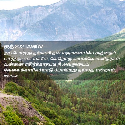 Picture 02 - ரூத் 2:22 TAMIRV - அப்பொழுது நகோமி - Bible Verse Picture