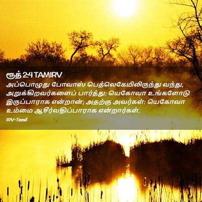 Picture 02 - ரூத் 2:4 TAMIRV - அப்பொழுது போவாஸ் - Bible Verse Picture