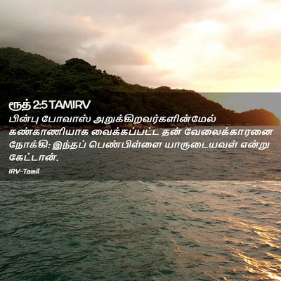 Picture 02 - ரூத் 2:5 TAMIRV - பின்பு போவாஸ் - Bible Verse Picture