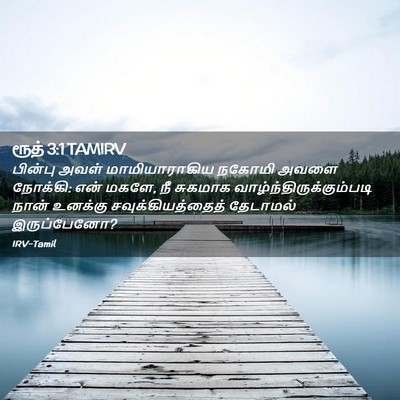 Picture 02 - ரூத் 3:1 TAMIRV - பின்பு அவள் - Bible Verse Picture