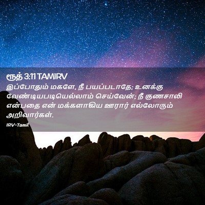 Picture 02 - ரூத் 3:11 TAMIRV - இப்போதும் மகளே, நீ - Bible Verse Picture